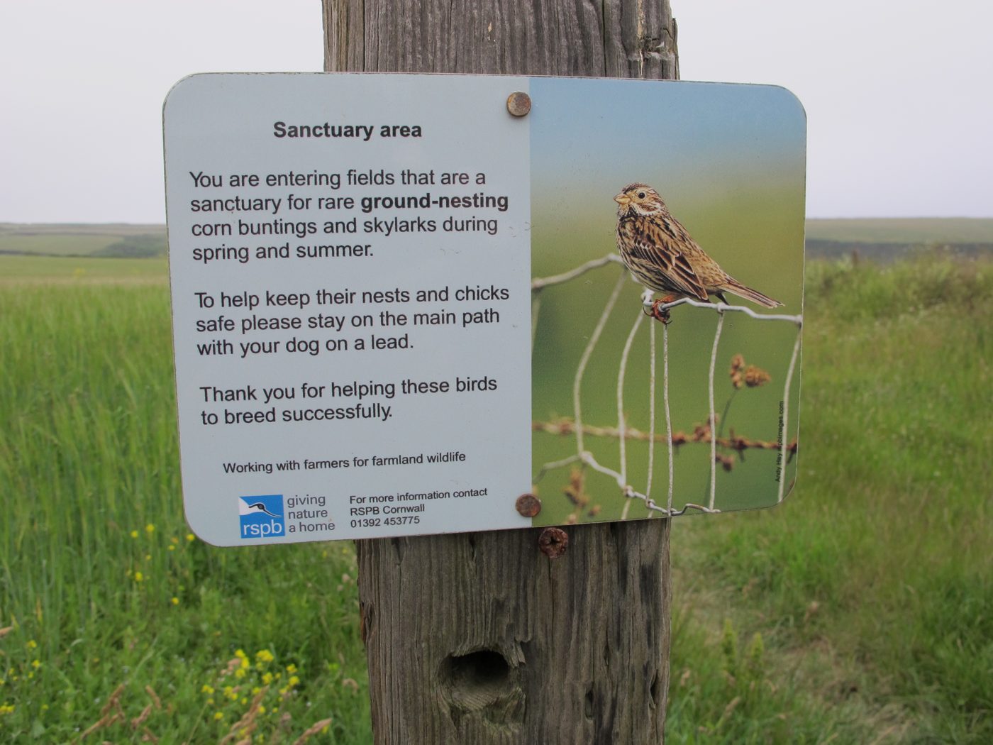 Leaving room for the birds that nest in our fields