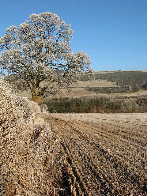 Winter farmland